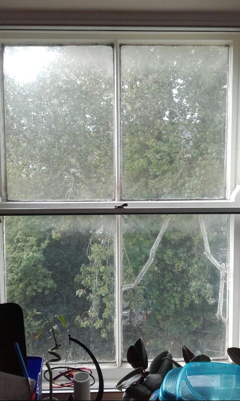 Sash window